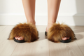 Brown Furry Slides