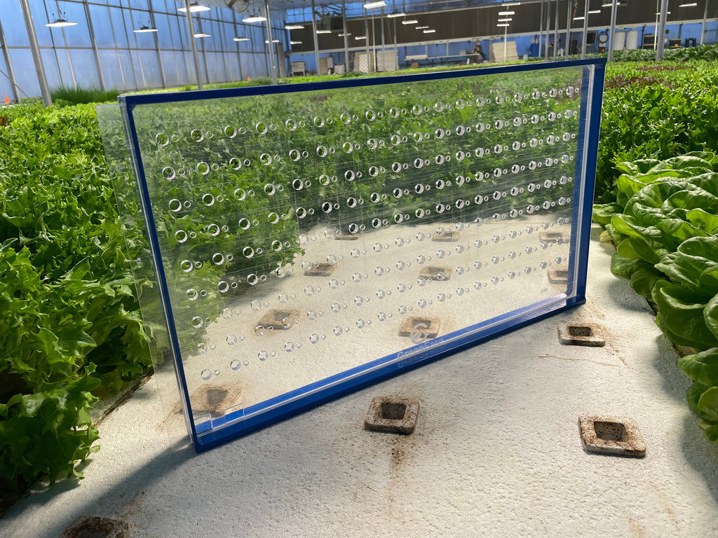 GreenEase Drop Seeder for T. O. Plastics Trays