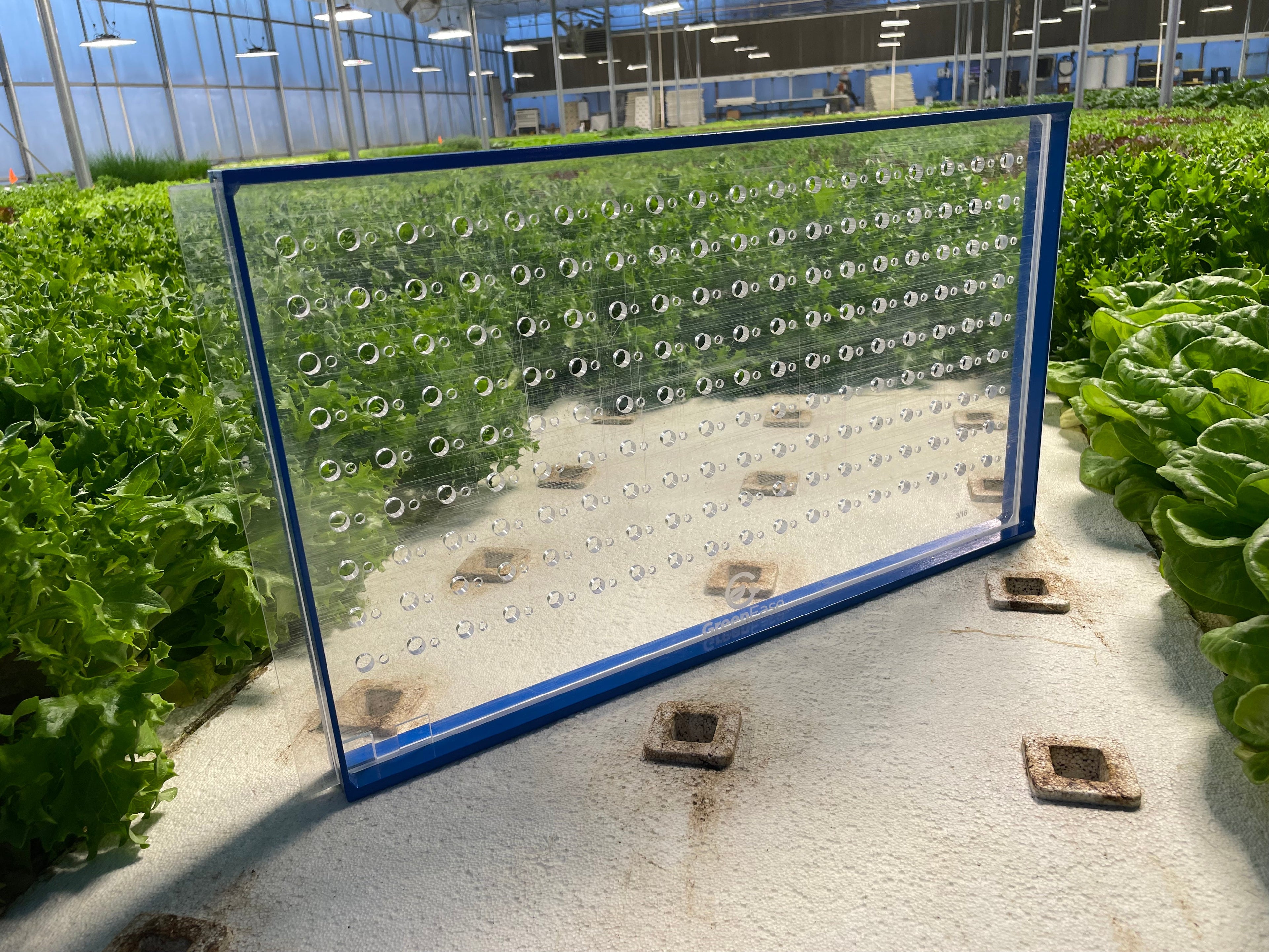 GreenEase Drop Seeder for T. O. Plastics Trays