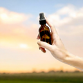 Car Refresher Spray – 2 oz
