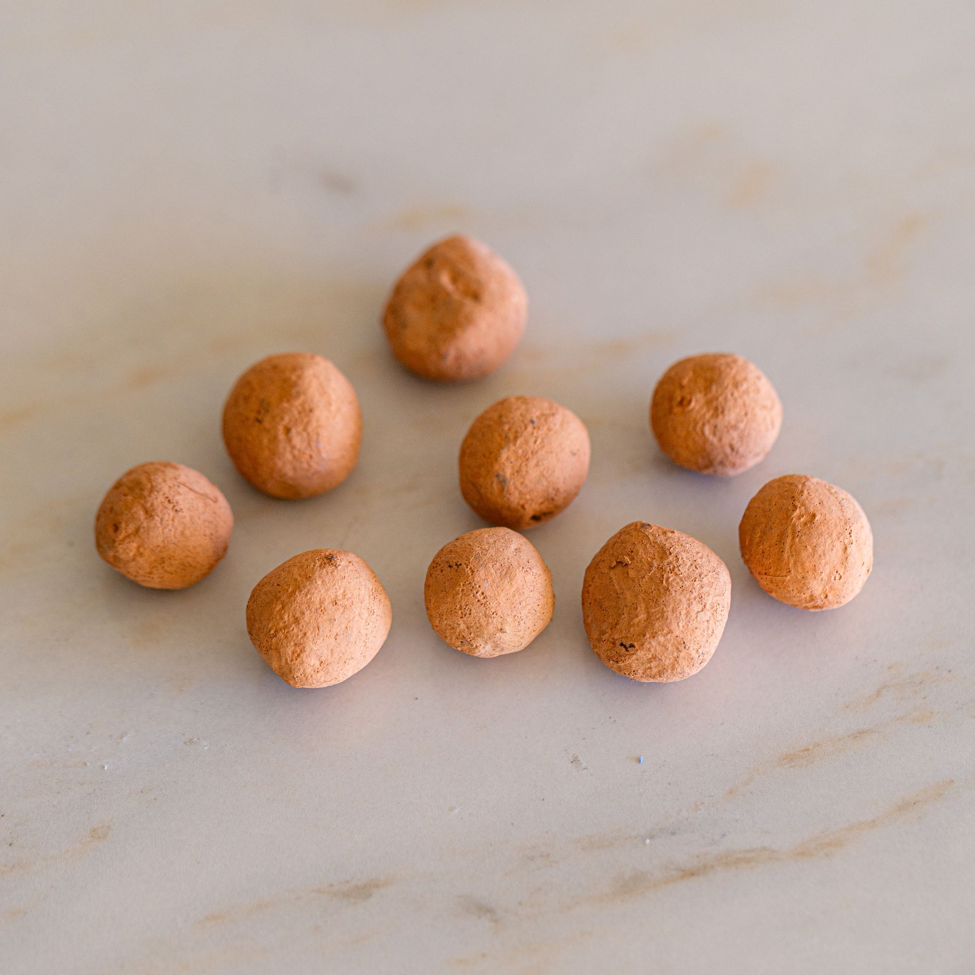 California Poppy Wildflower Garden Confetti Seed Balls