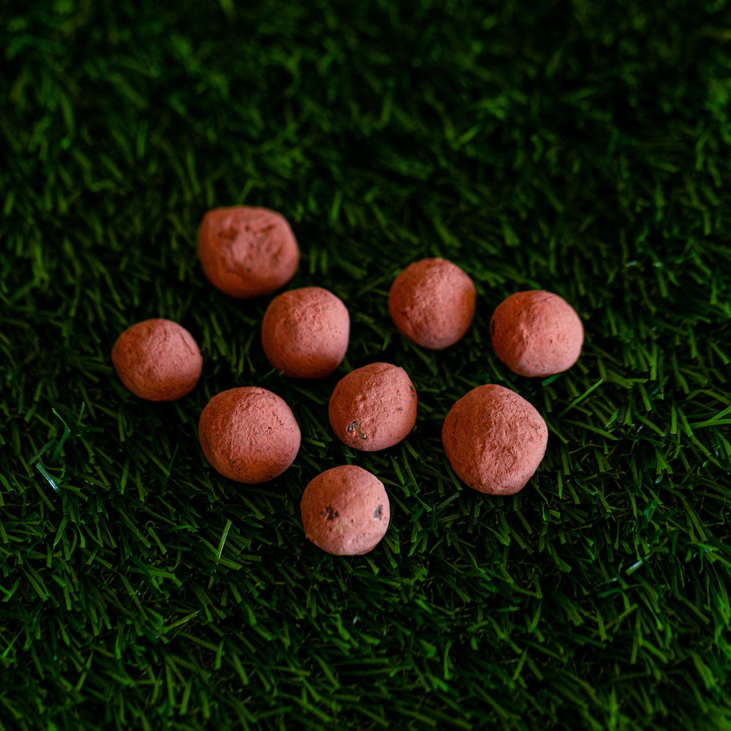 Red Poppy Wildflower Garden Confetti Seed Balls