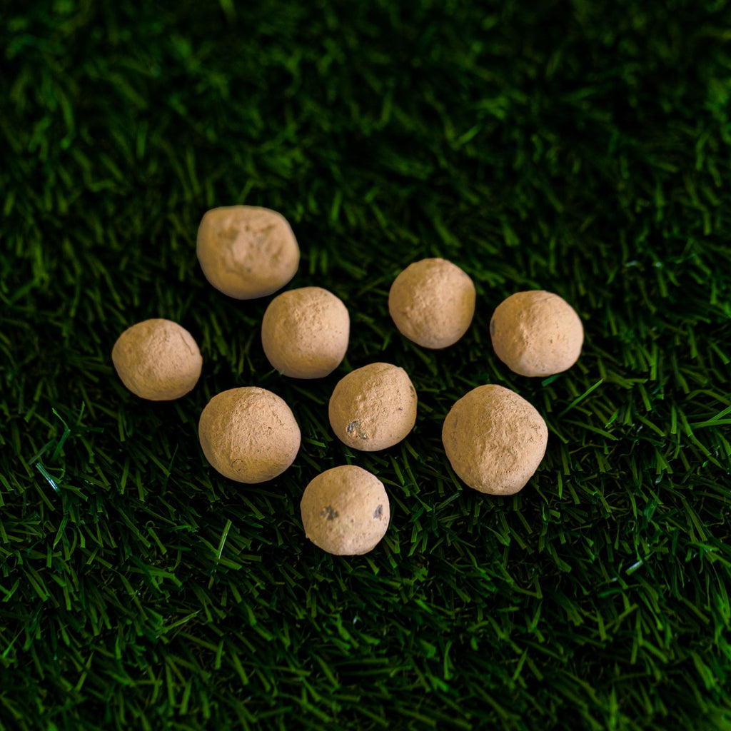 Golden Sunflower Wildflower Garden Confetti Seed Balls