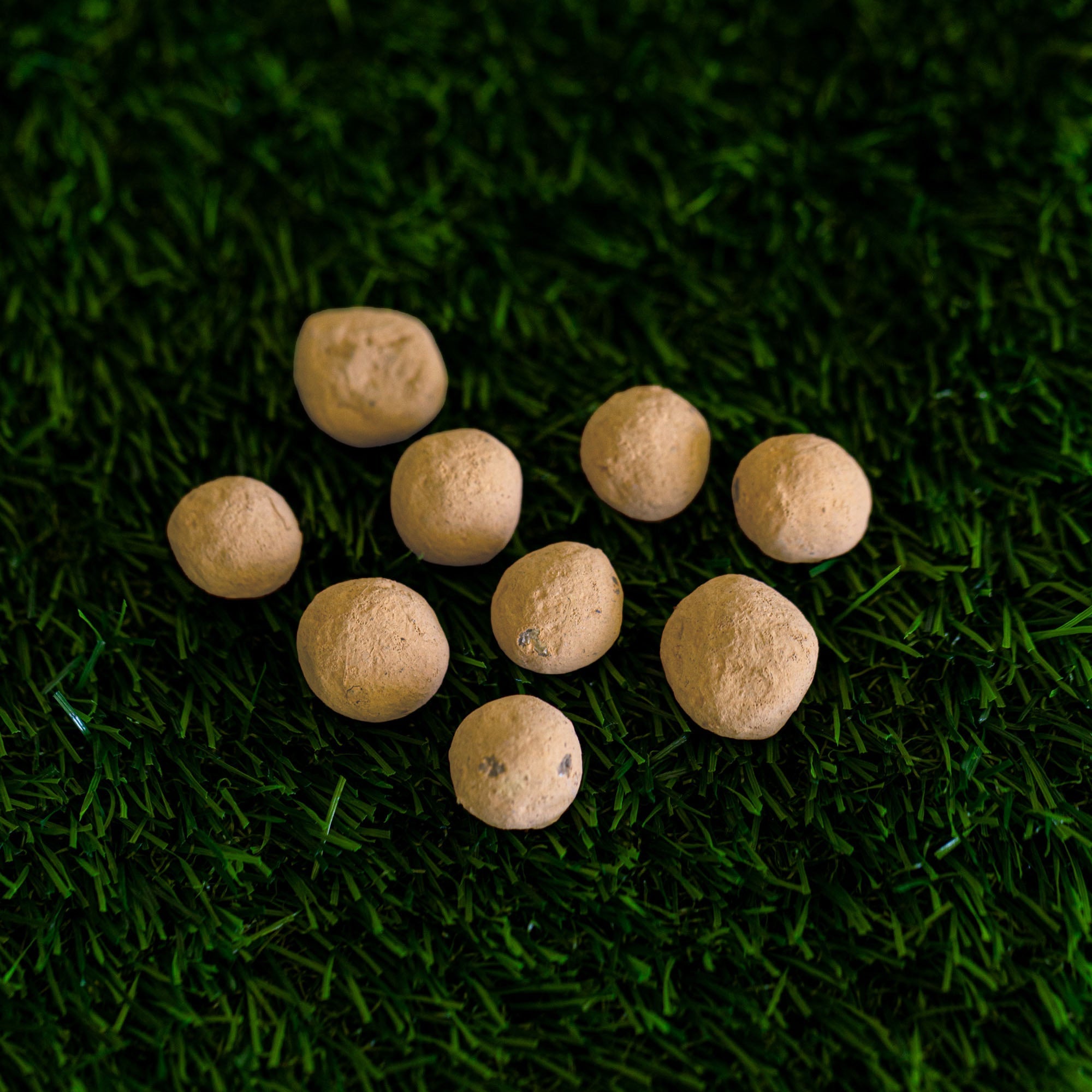 Golden Sunflower Wildflower Garden Confetti Seed Balls