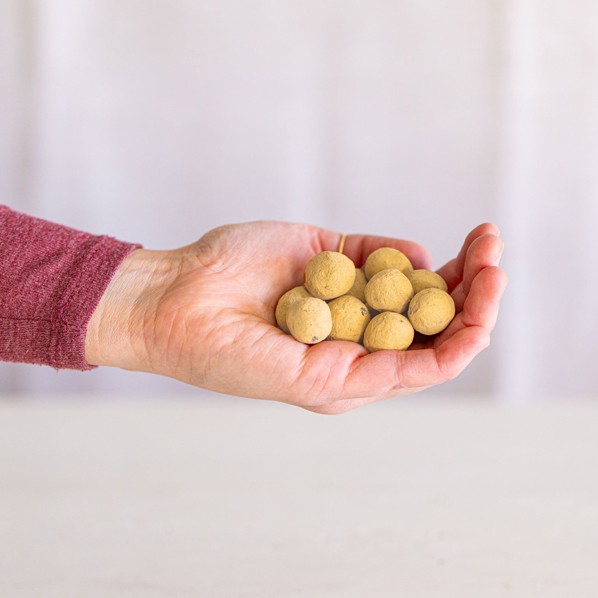 Golden Sunflower Wildflower Garden Confetti Seed Balls