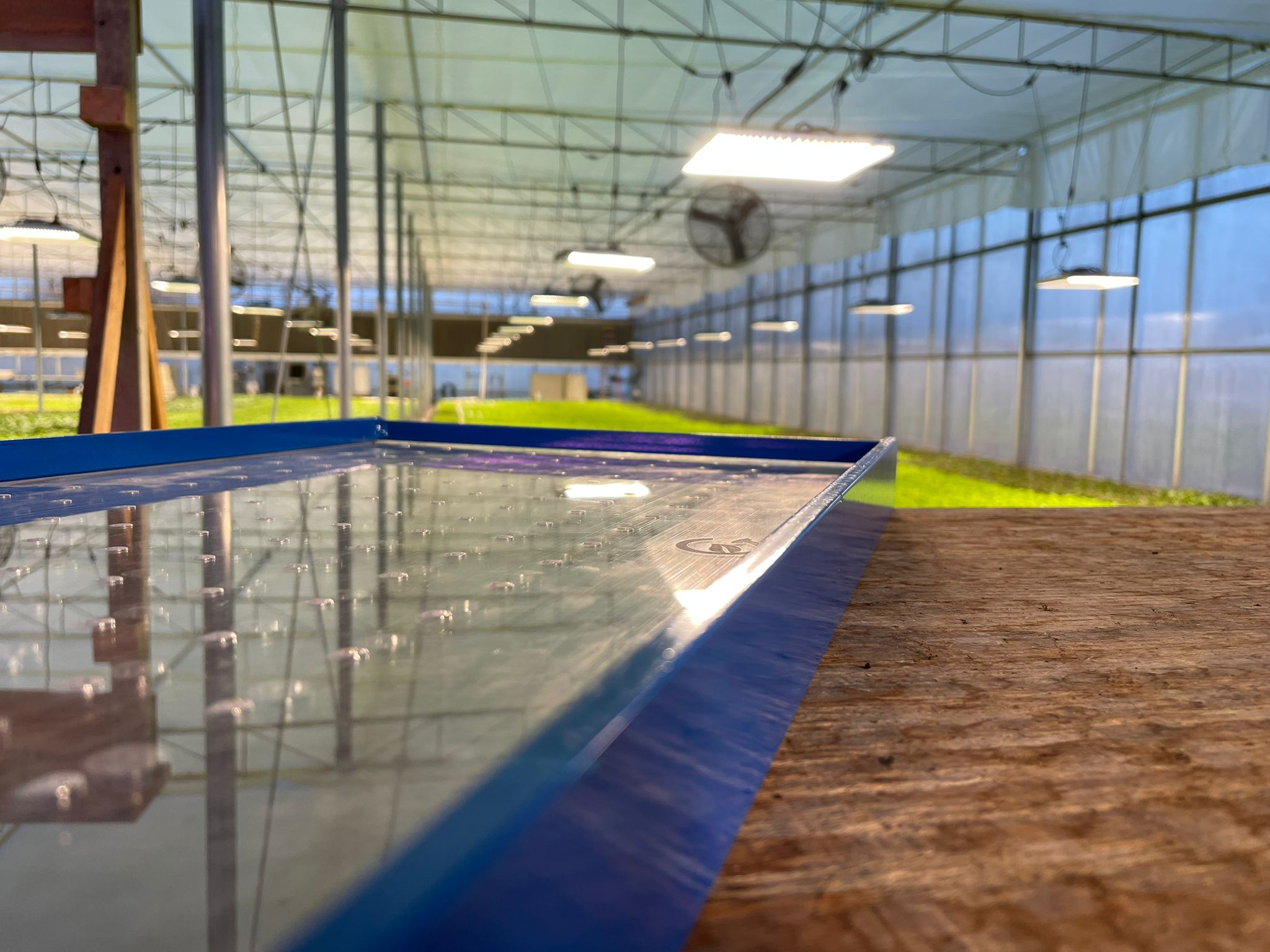 GreenEase Drop Seeder for T. O. Plastics Trays