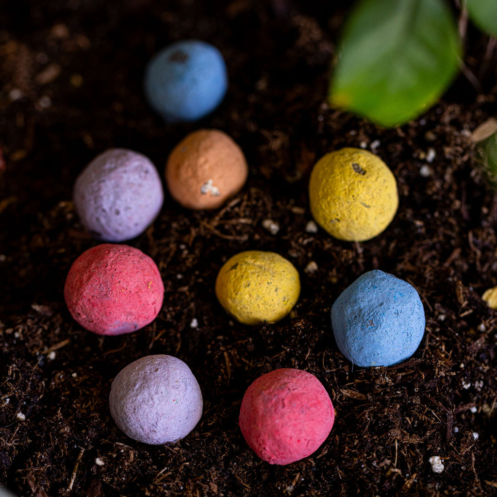 Annual Wildflower Garden Confetti Seed Balls