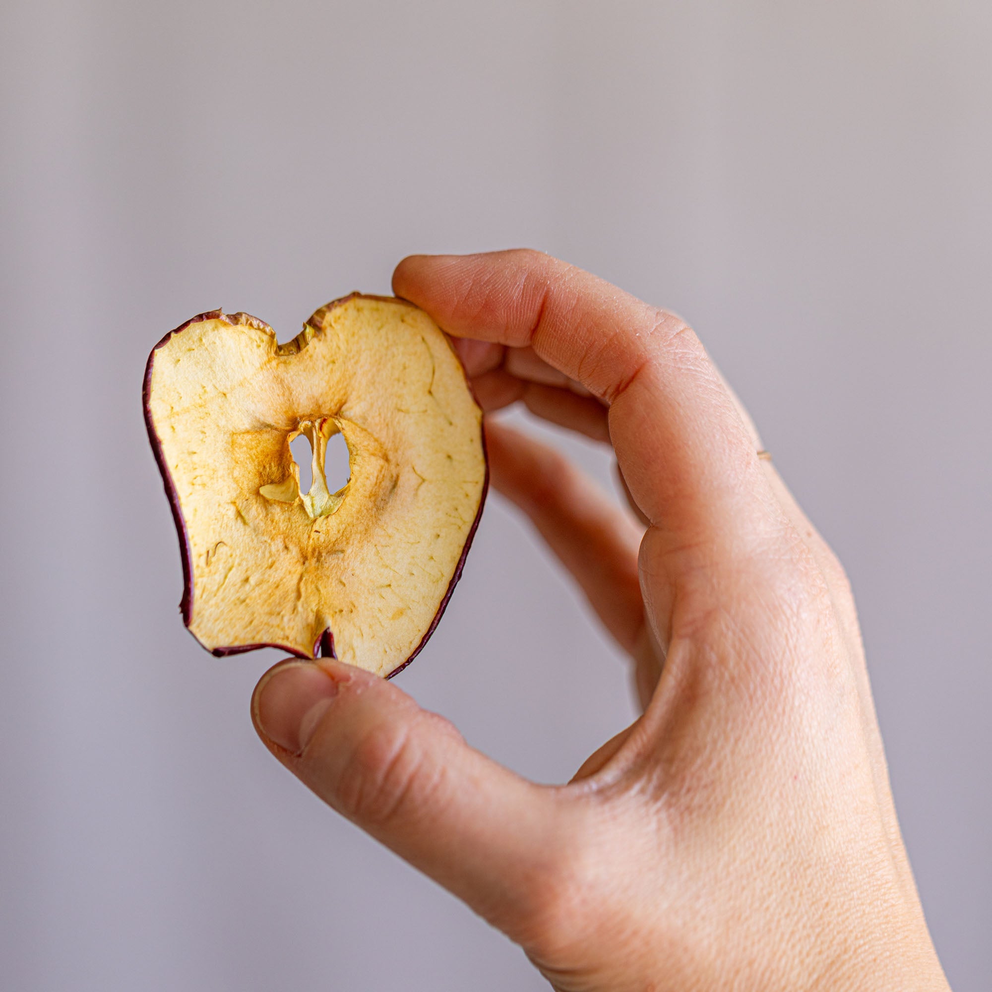 Dried Apple Slices