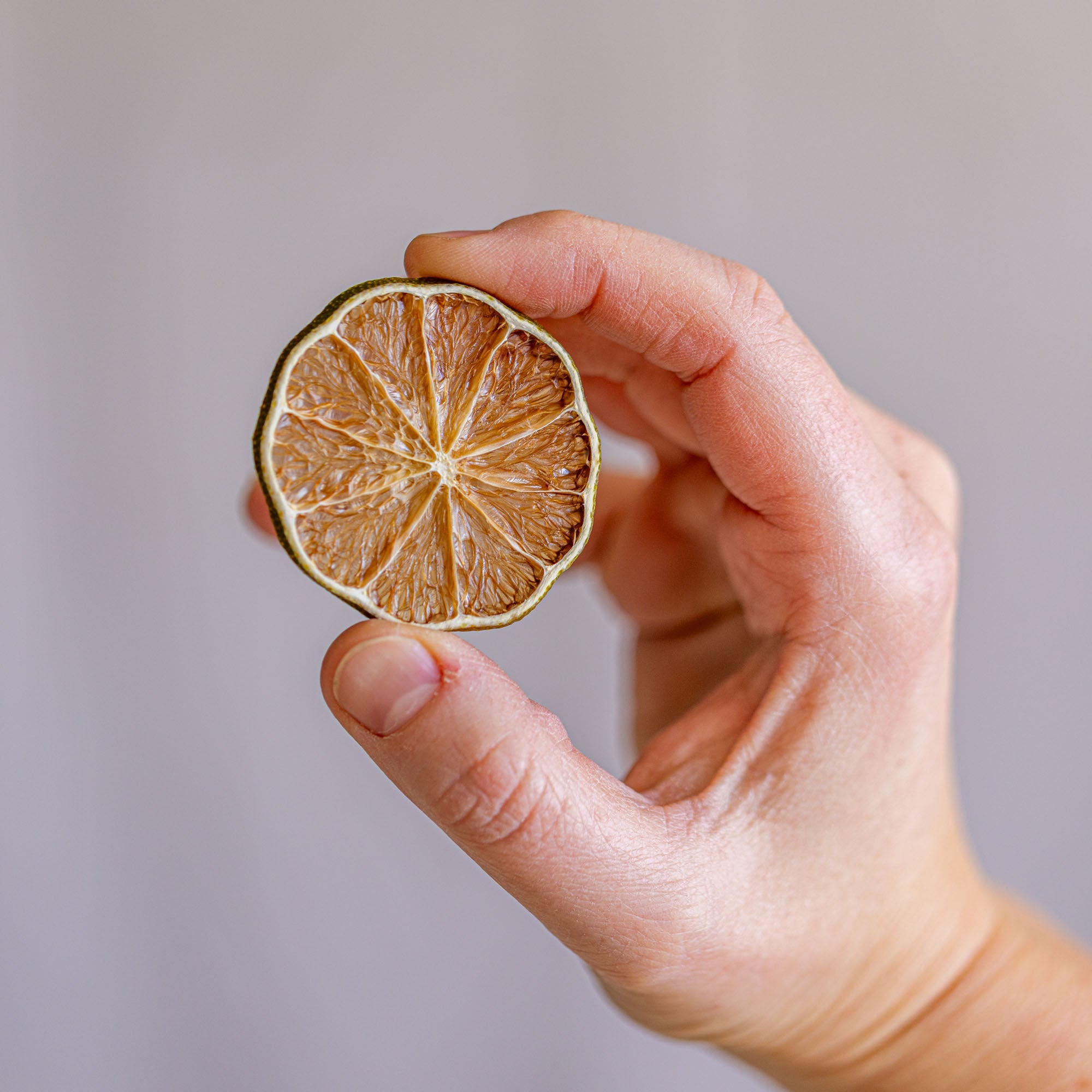 Dried Lime Slices