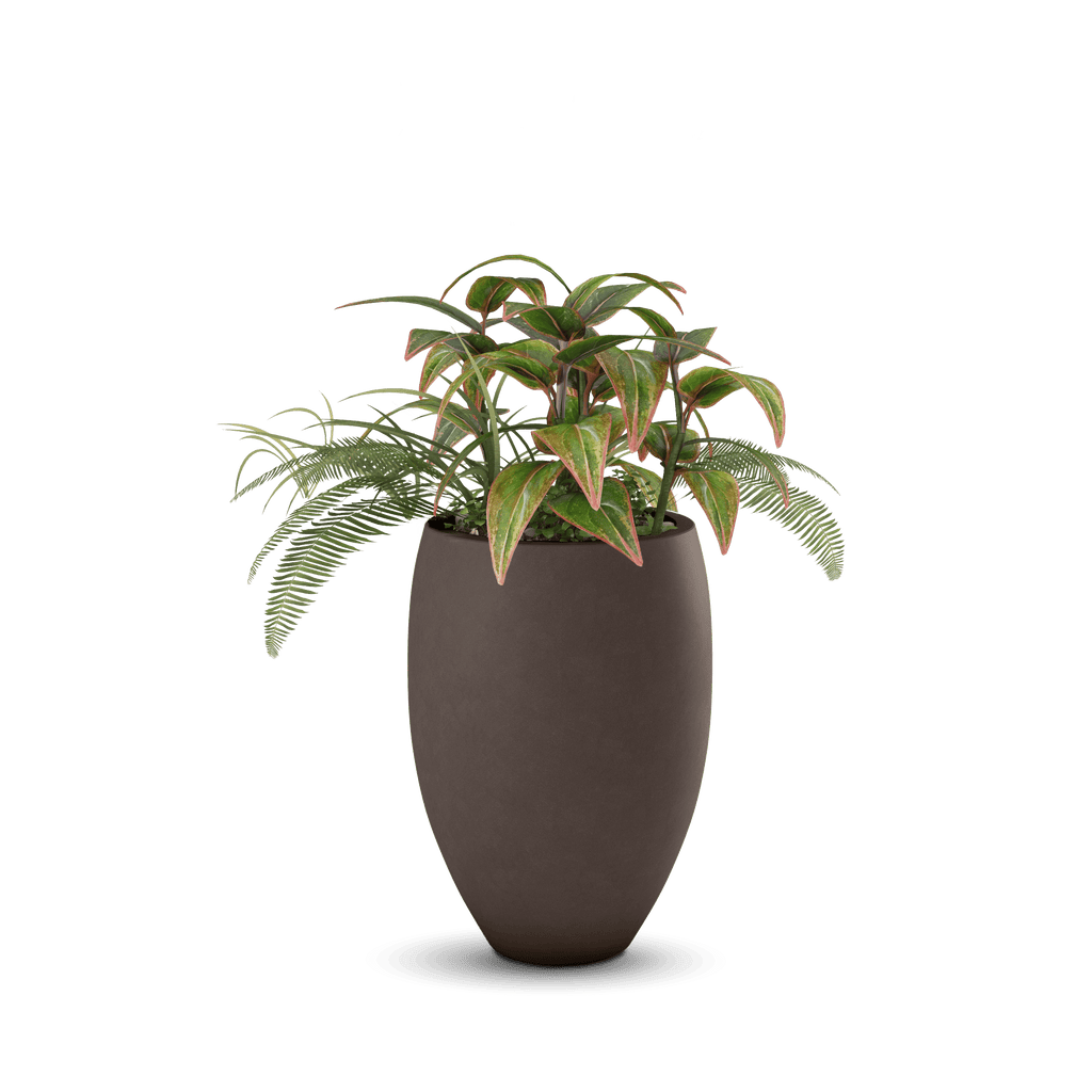 Brandy Planter