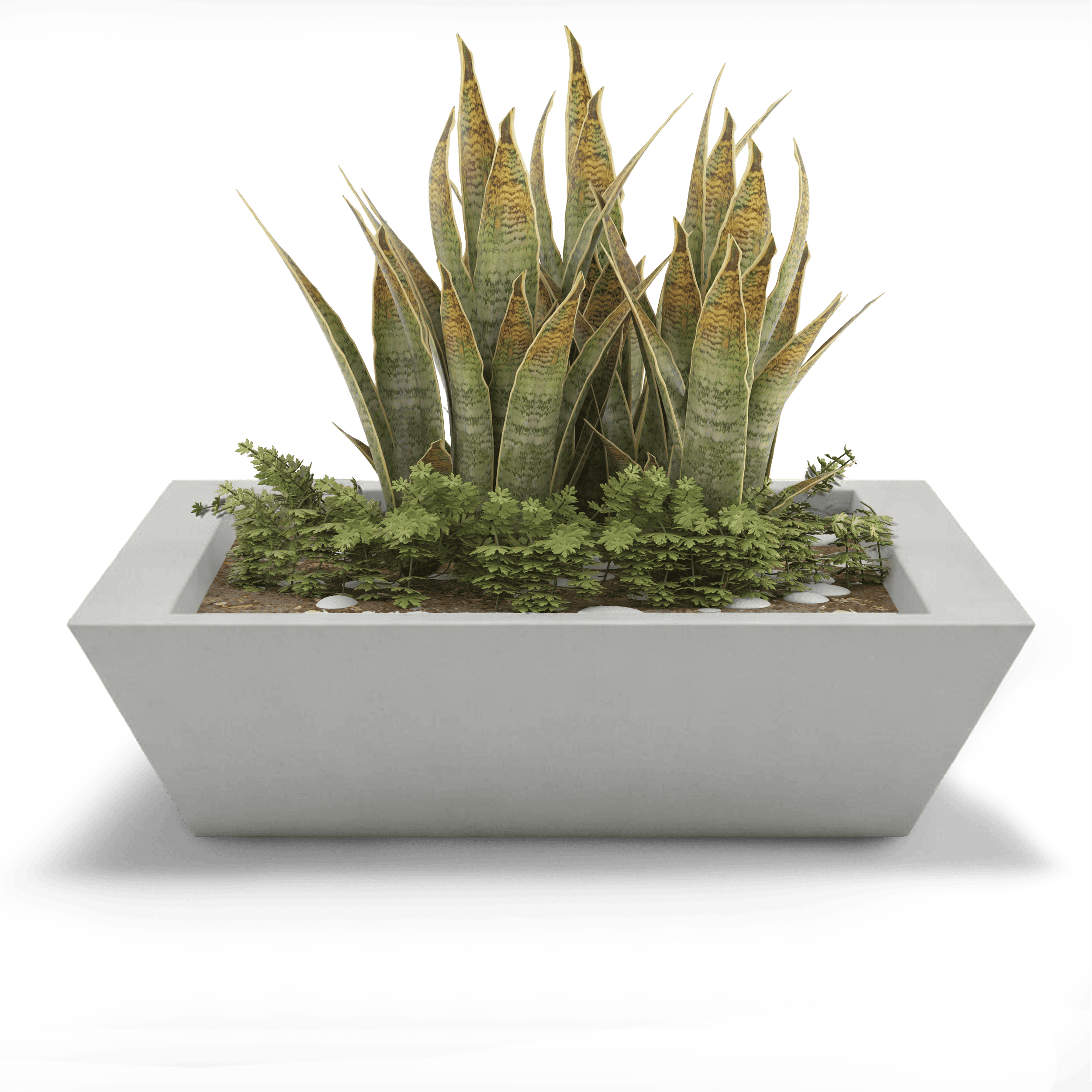 Newport Outdoor Shallow Planter