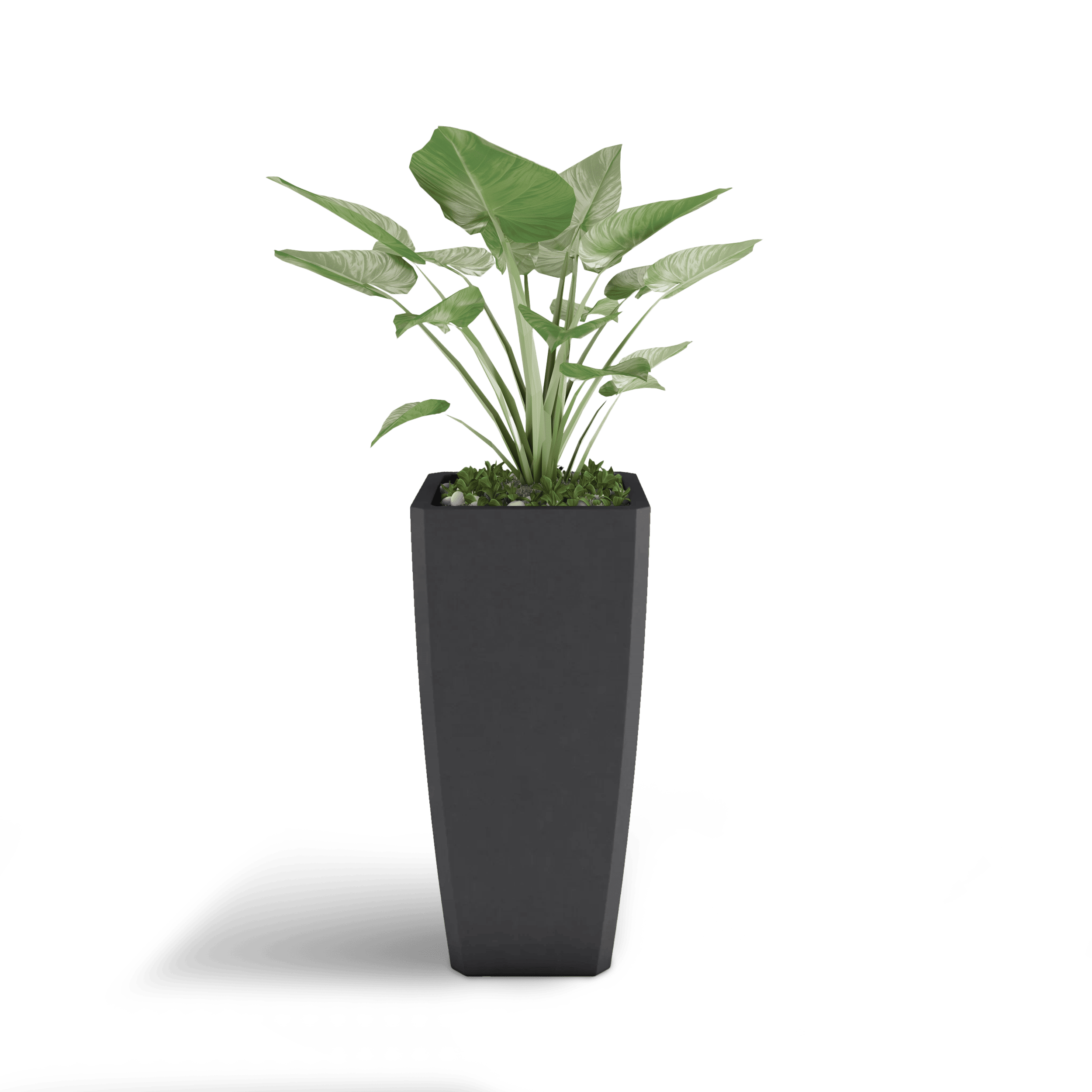 Quartet Planter