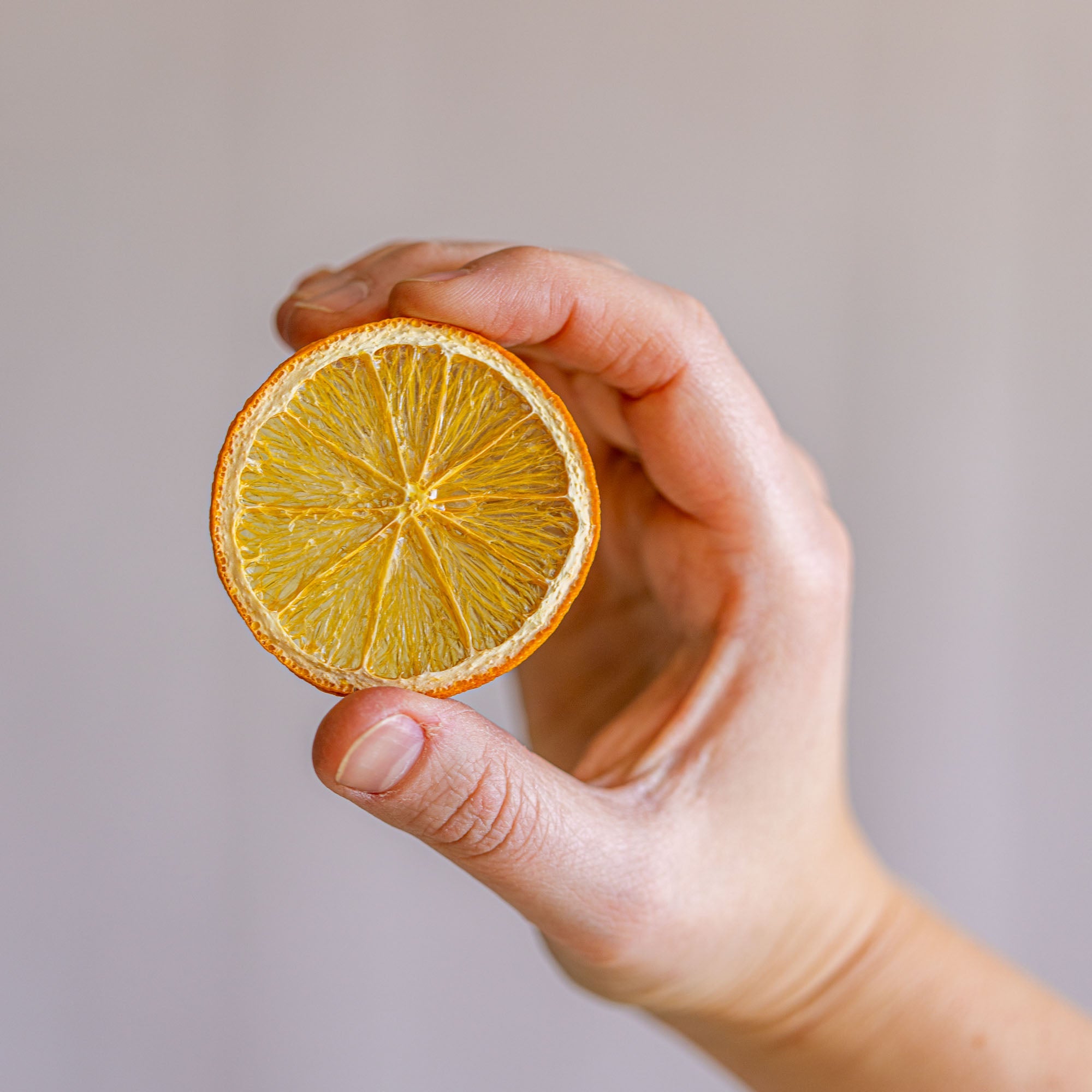 Dried Orange Slices