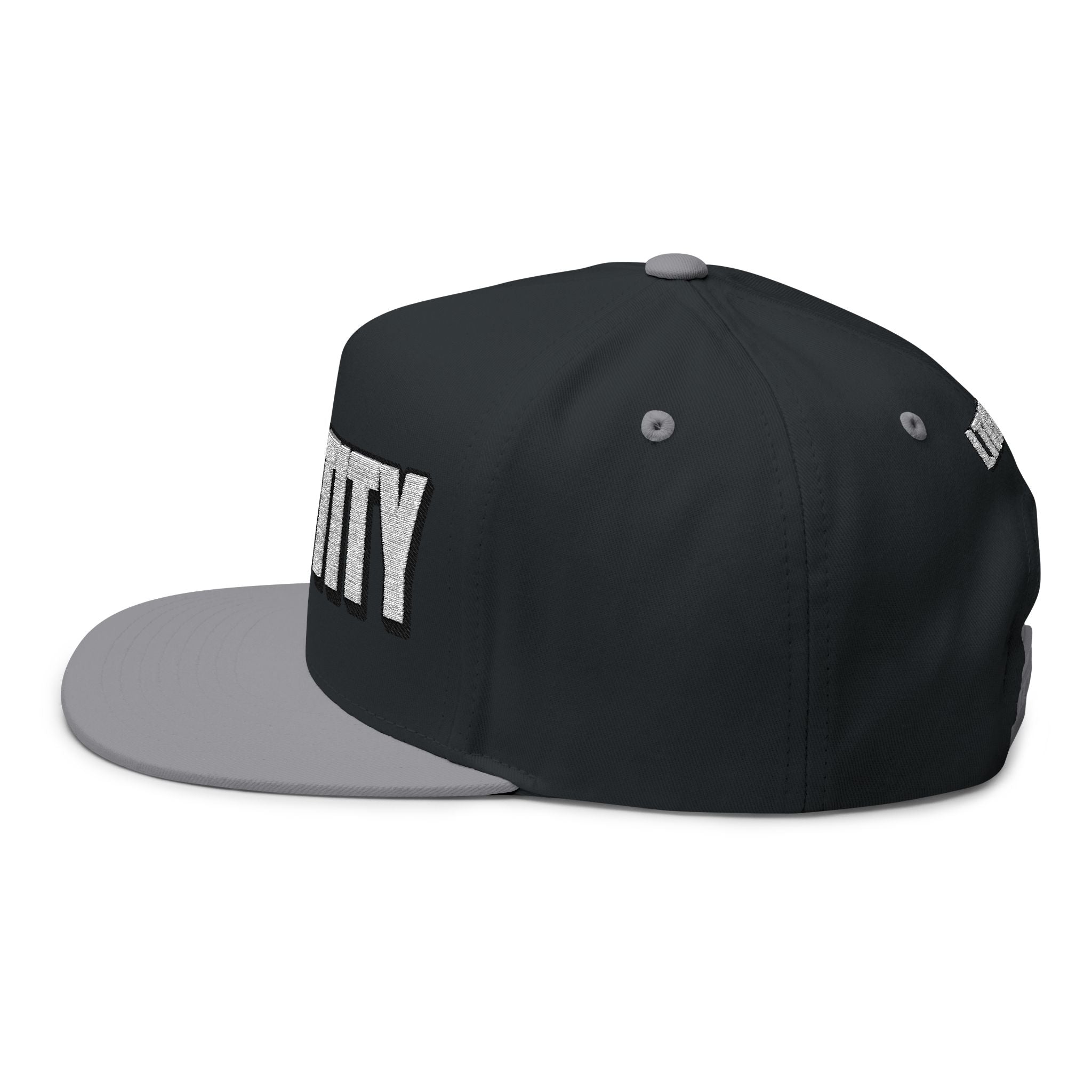 INTO: CHASTITY Embroidered Flat Bill Cap – Kink Hat for Caged Subs, Keyholder Dynamics & Erotic Denial Enthusiasts