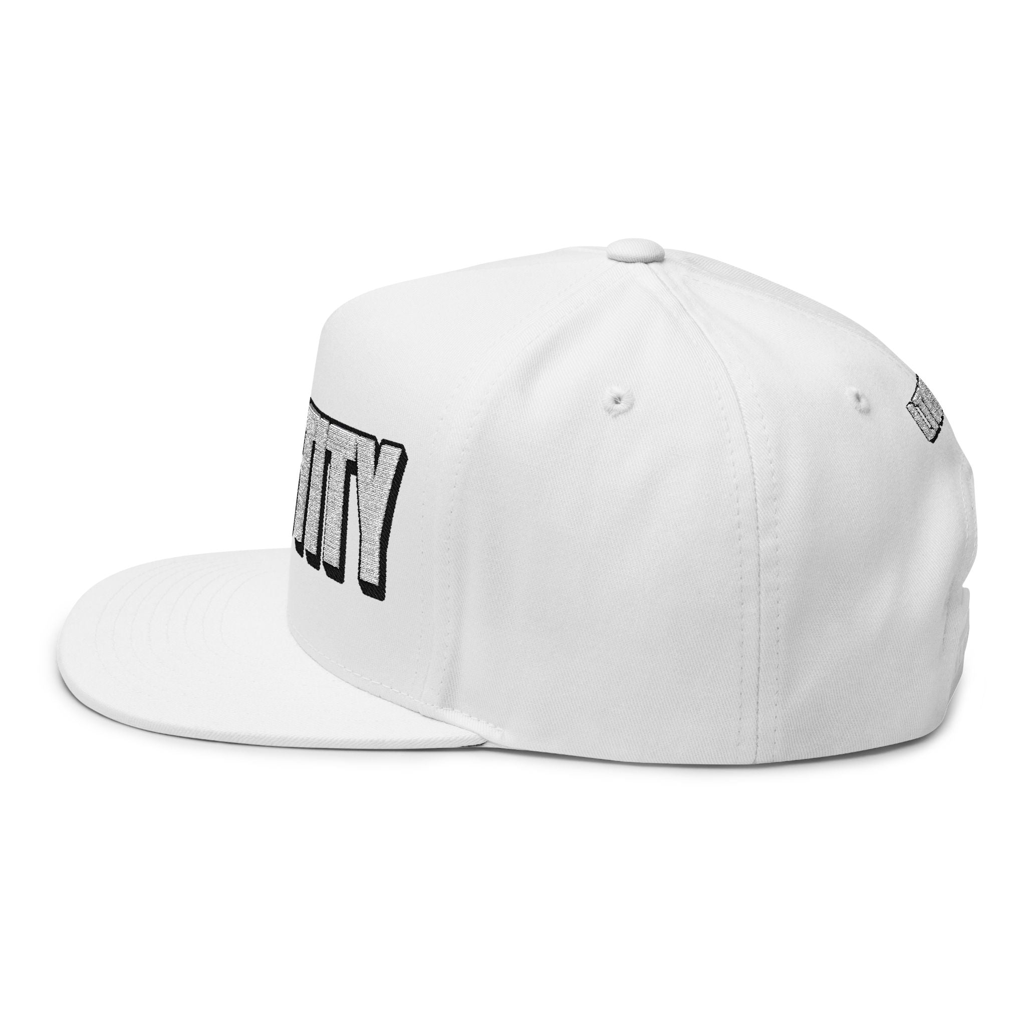 INTO: CHASTITY Embroidered Flat Bill Cap – Kink Hat for Caged Subs, Keyholder Dynamics & Erotic Denial Enthusiasts