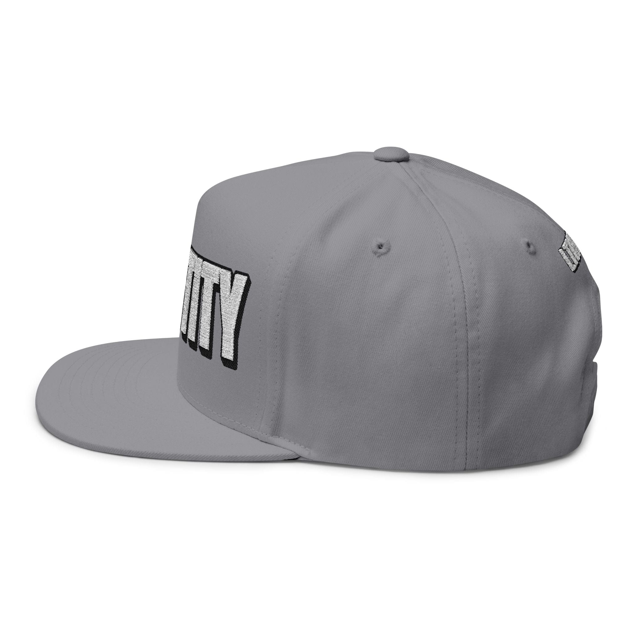 INTO: CHASTITY Embroidered Flat Bill Cap – Kink Hat for Caged Subs, Keyholder Dynamics & Erotic Denial Enthusiasts
