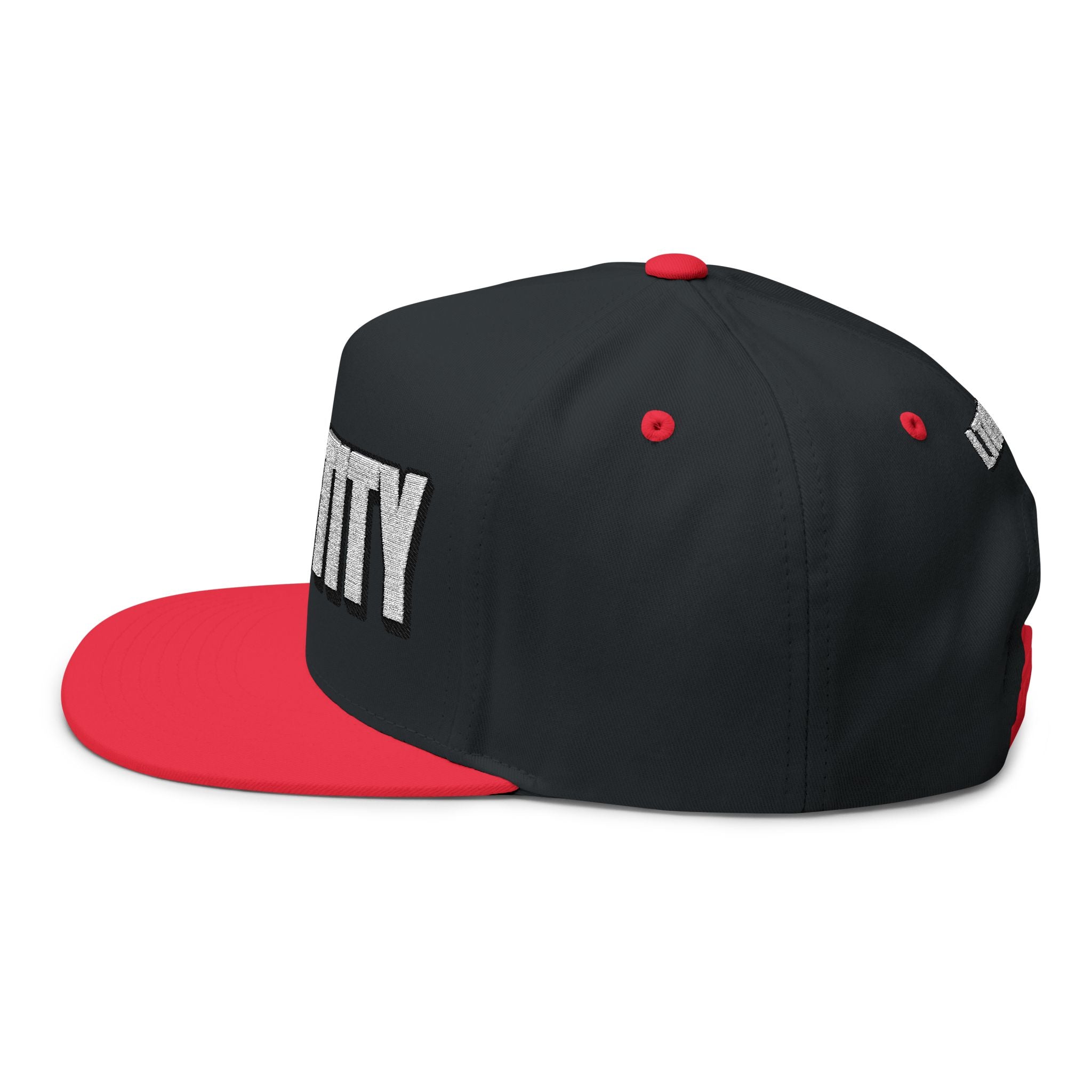 INTO: CHASTITY Embroidered Flat Bill Cap – Kink Hat for Caged Subs, Keyholder Dynamics & Erotic Denial Enthusiasts