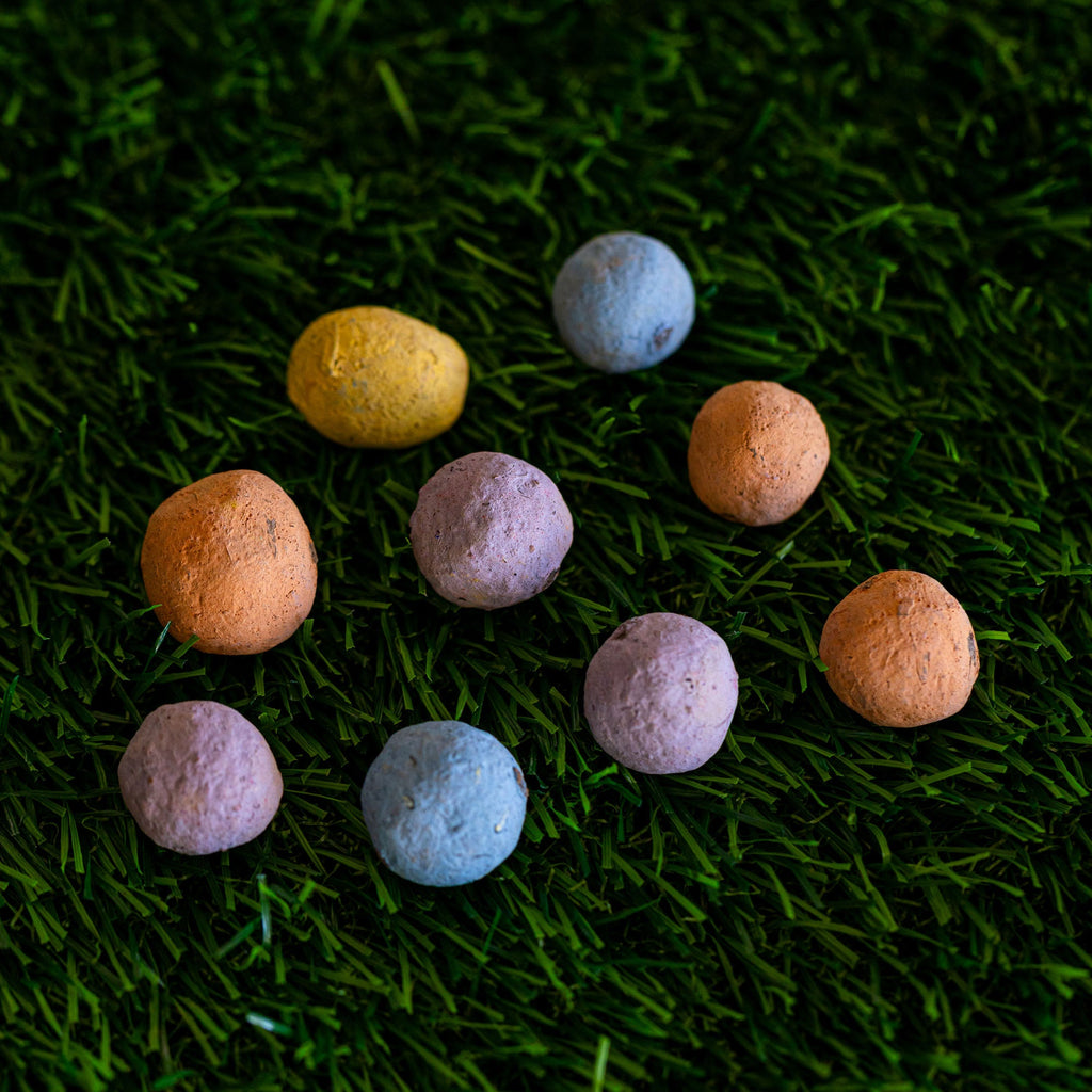 Southwest Wildflower Garden Confetti Seed Balls