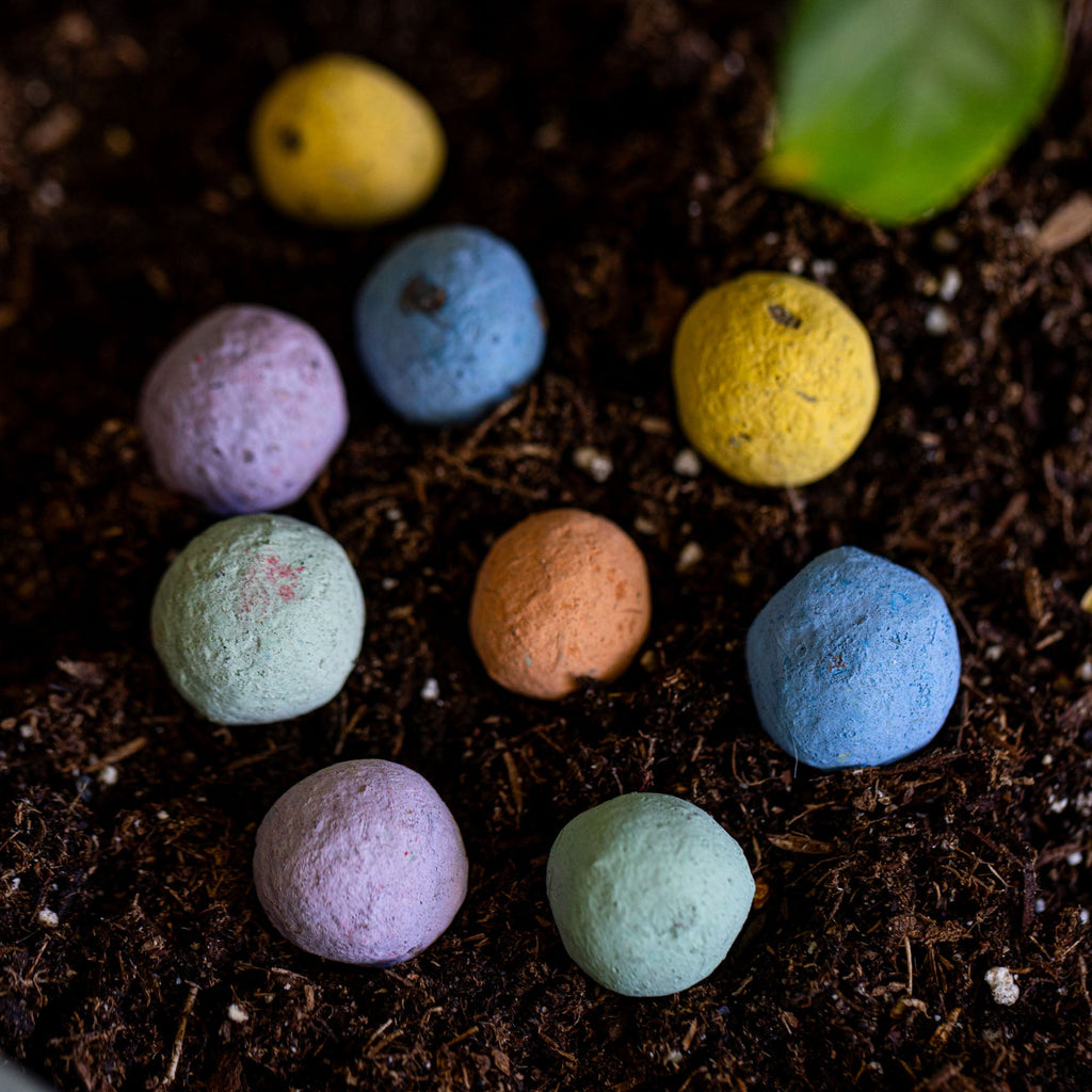 Southeast Wildflower Garden Confetti Seed Balls