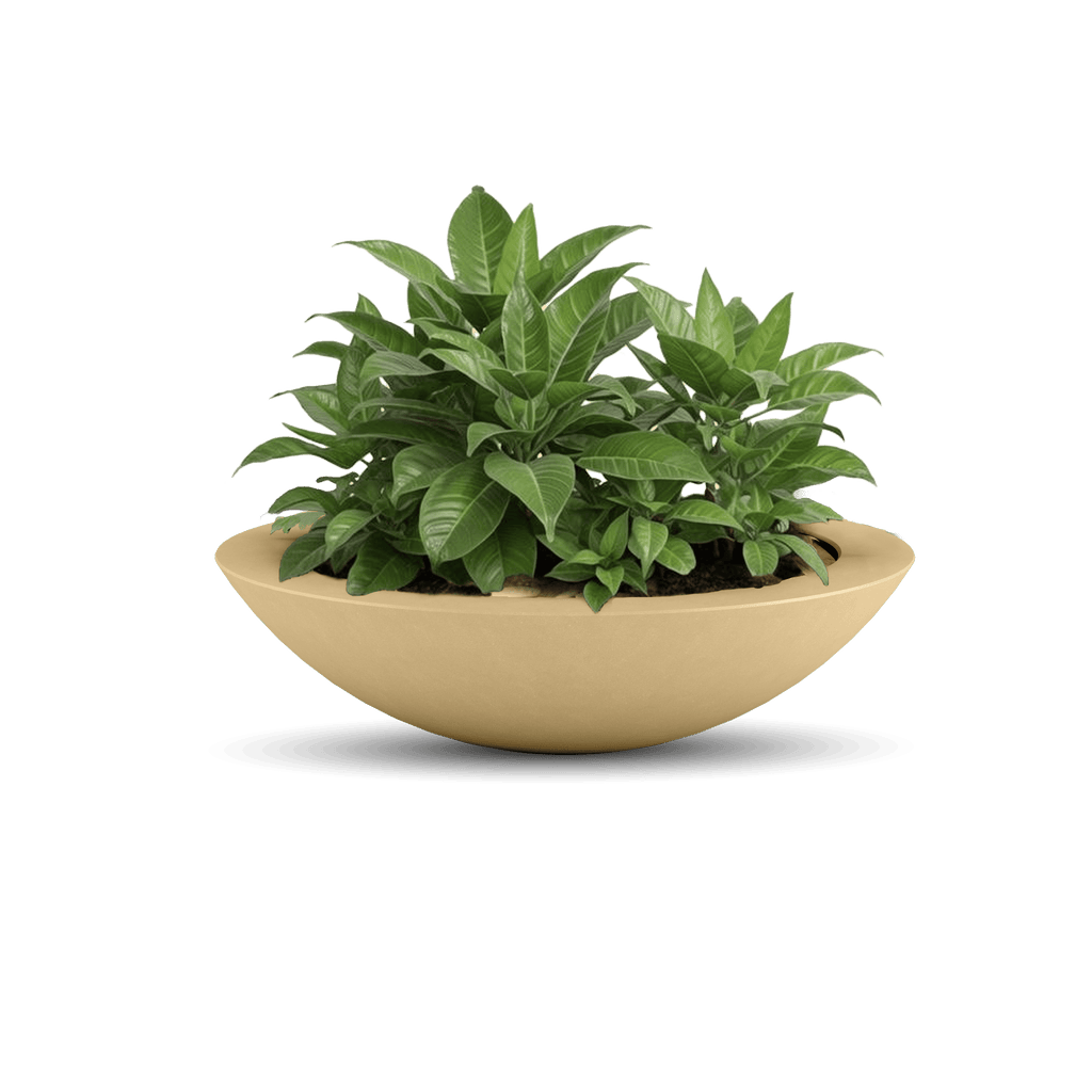 Oceanside Outdoor Shallow Planter